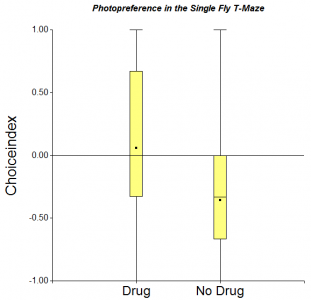 Photopreference in the Single Fly T-Maze