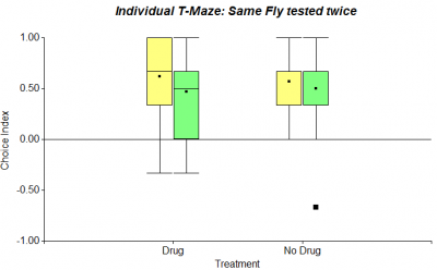 Same Fly tested twice WW New Drug (First 6 choices)